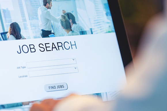A screenshot of an online job search page